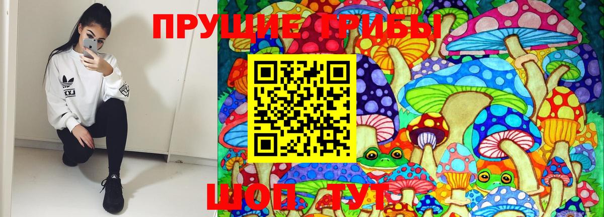 Галлюциногенные грибы Psilocybe Каменка