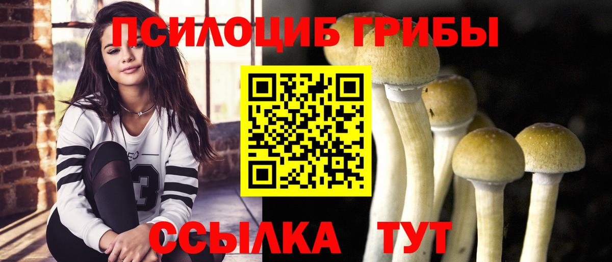 Псилоцибиновые грибы MAGIC MUSHROOMS  Галлюциногенные грибы Psilocybine cubensis  Вход с VPN  Каменка 